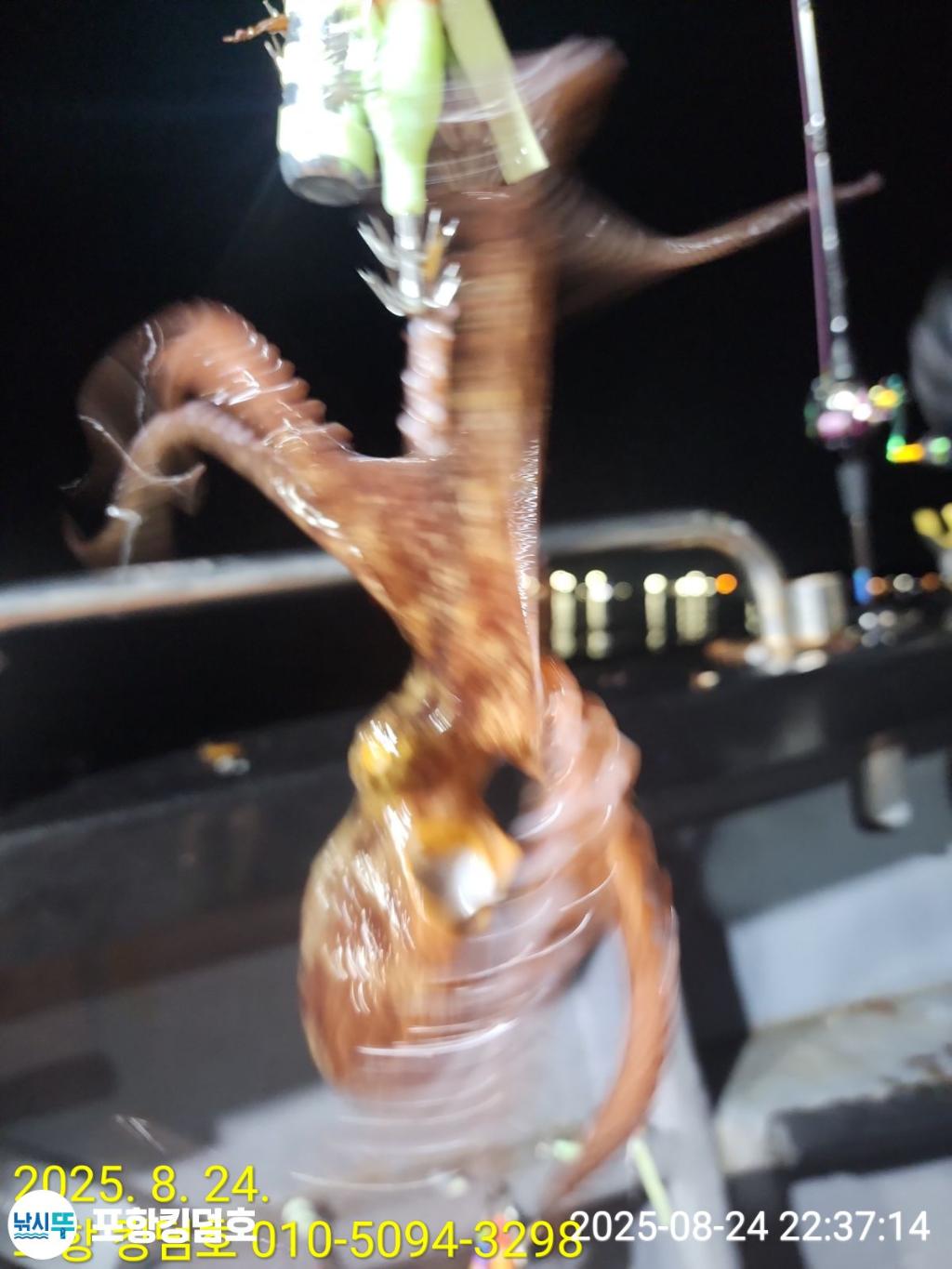 F2760378JM.jpg