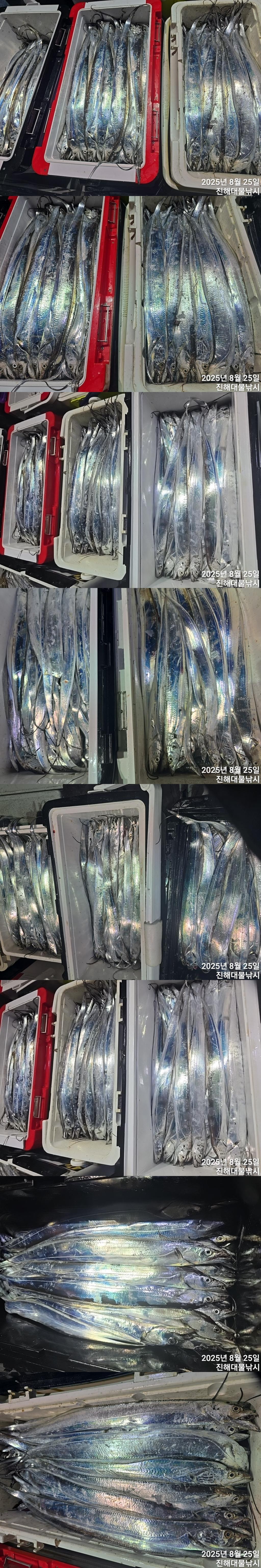 F276052476.jpg