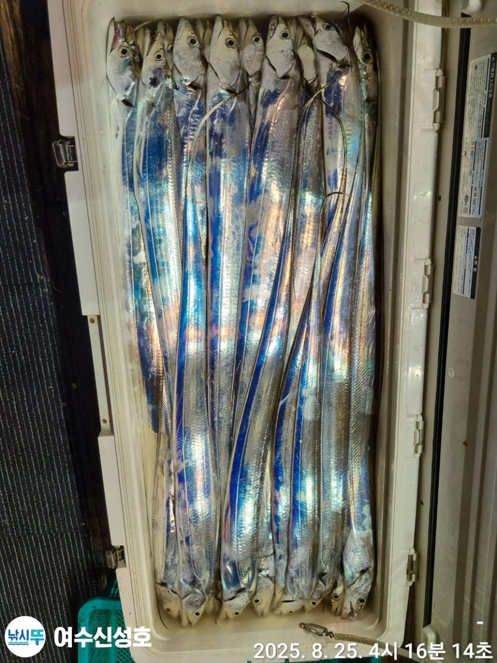 F2760553IE.jpg