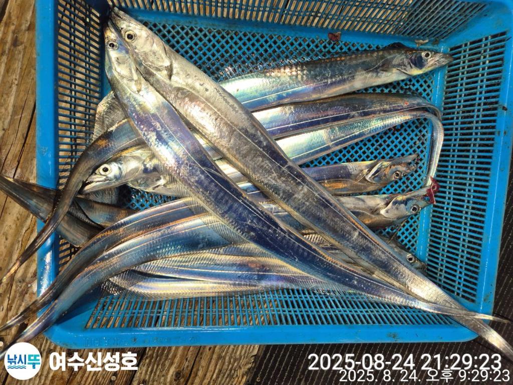 F2760565NX.jpg