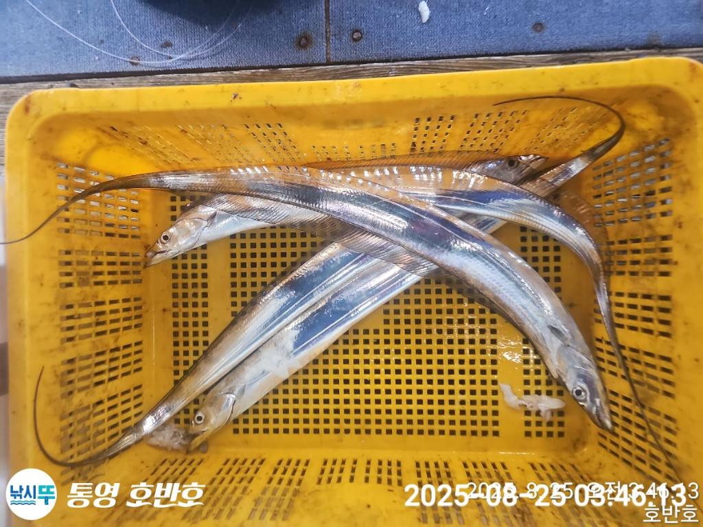 F2760582LZ.jpg
