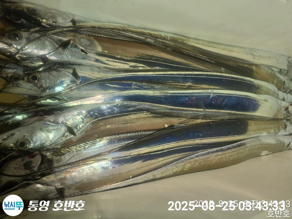 F2760592OE.jpg