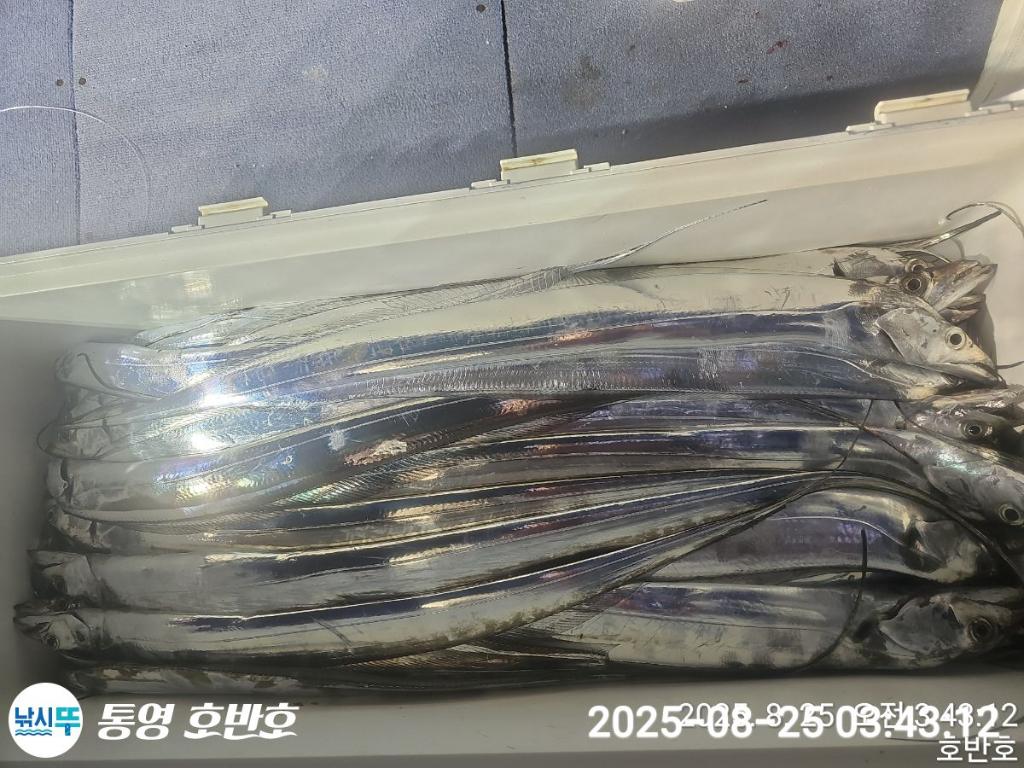 F2760594JZ.jpg