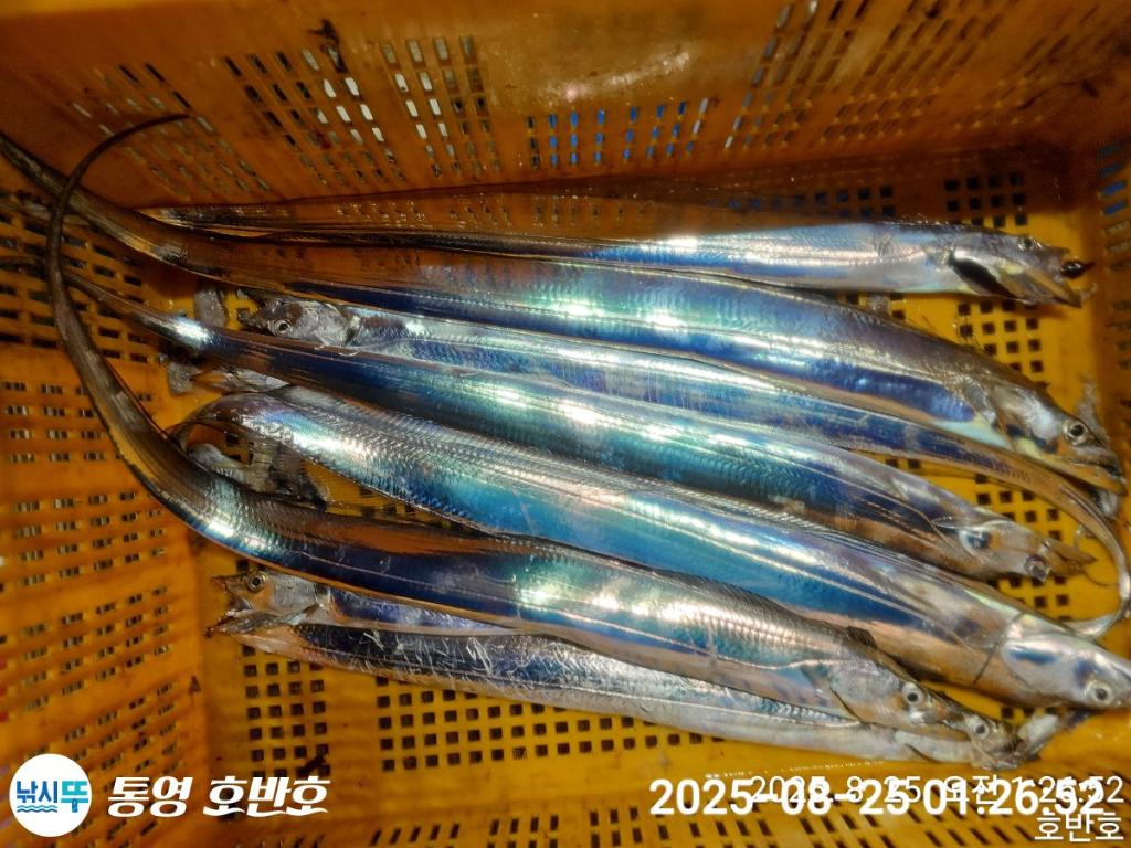 F2760596OI.jpg