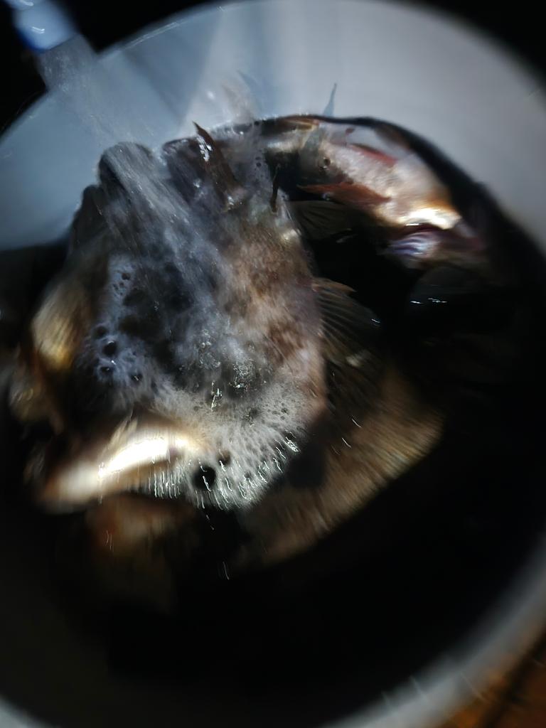F2760646VV.jpg