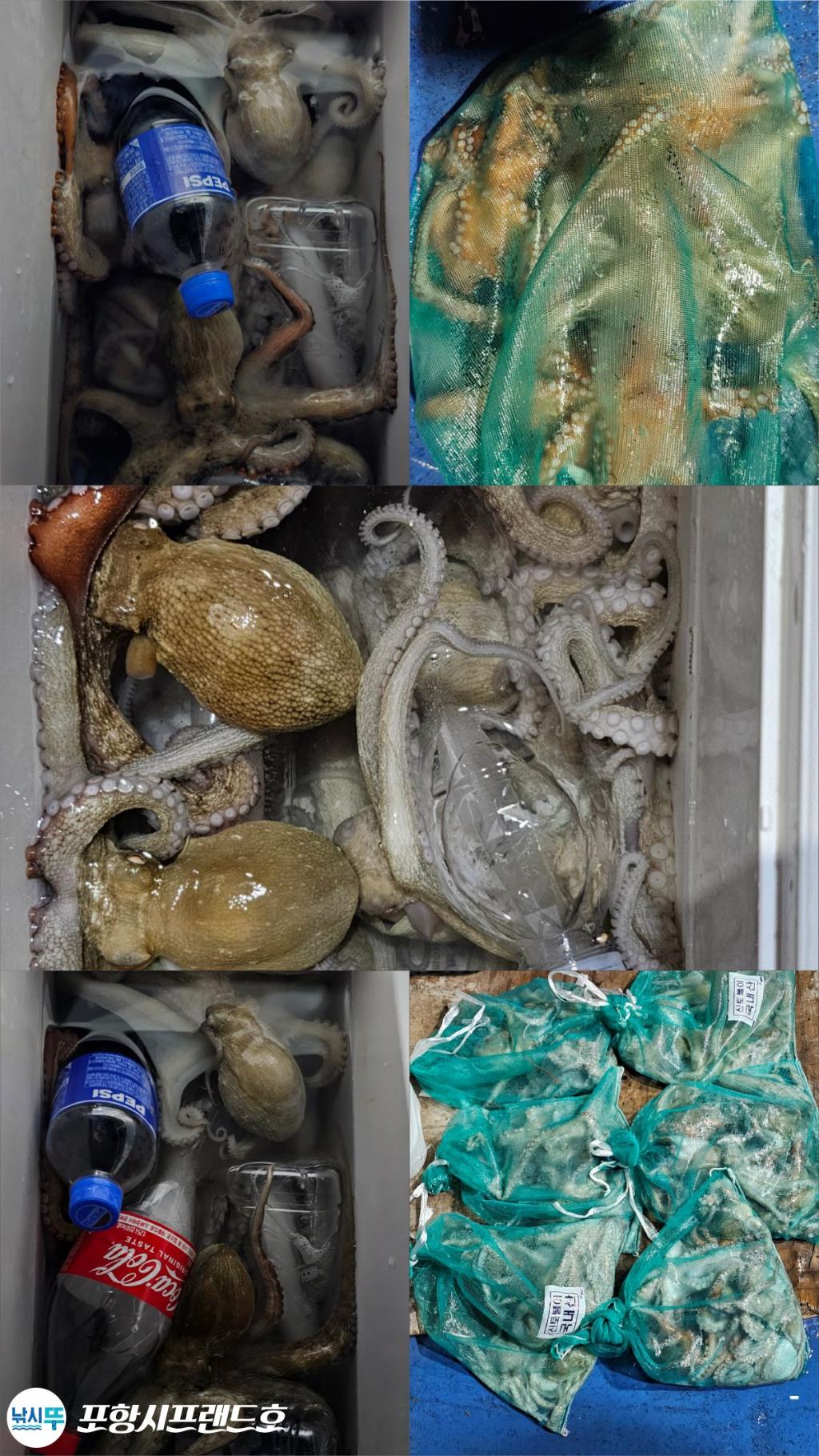 F27606796F.jpg