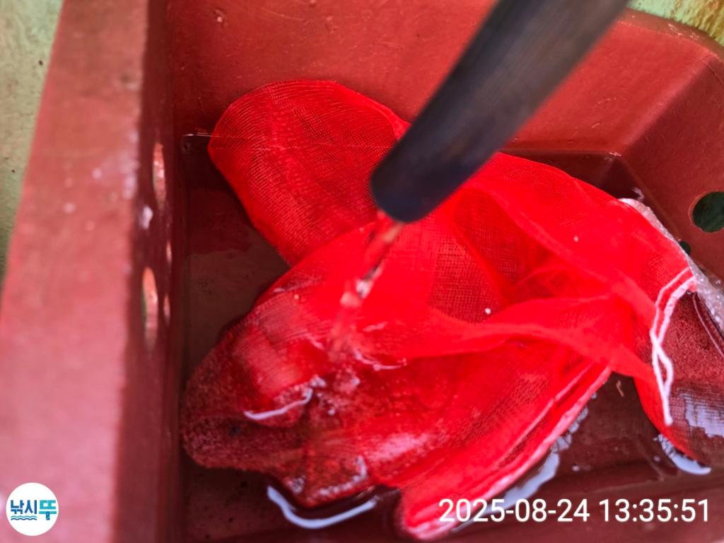 F276069226.jpg