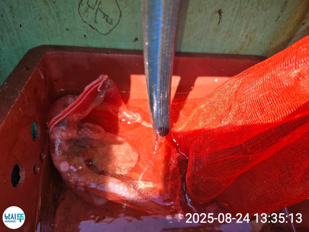 F2760699BG.jpg