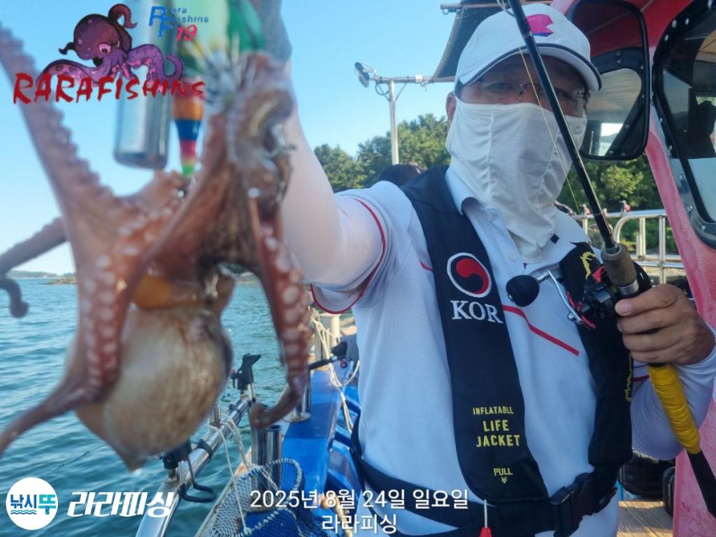 낚시뚜,돌문어,속천항(진해),라라피싱,낚시뚜13
