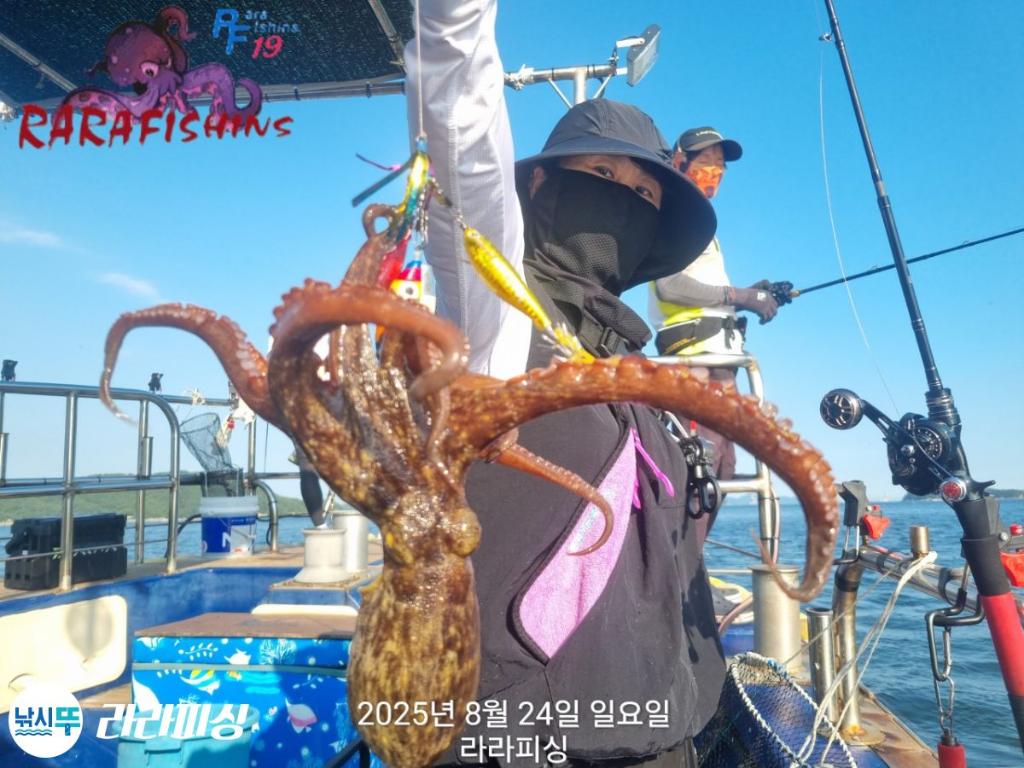 낚시뚜,돌문어,속천항(진해),라라피싱,낚시뚜12