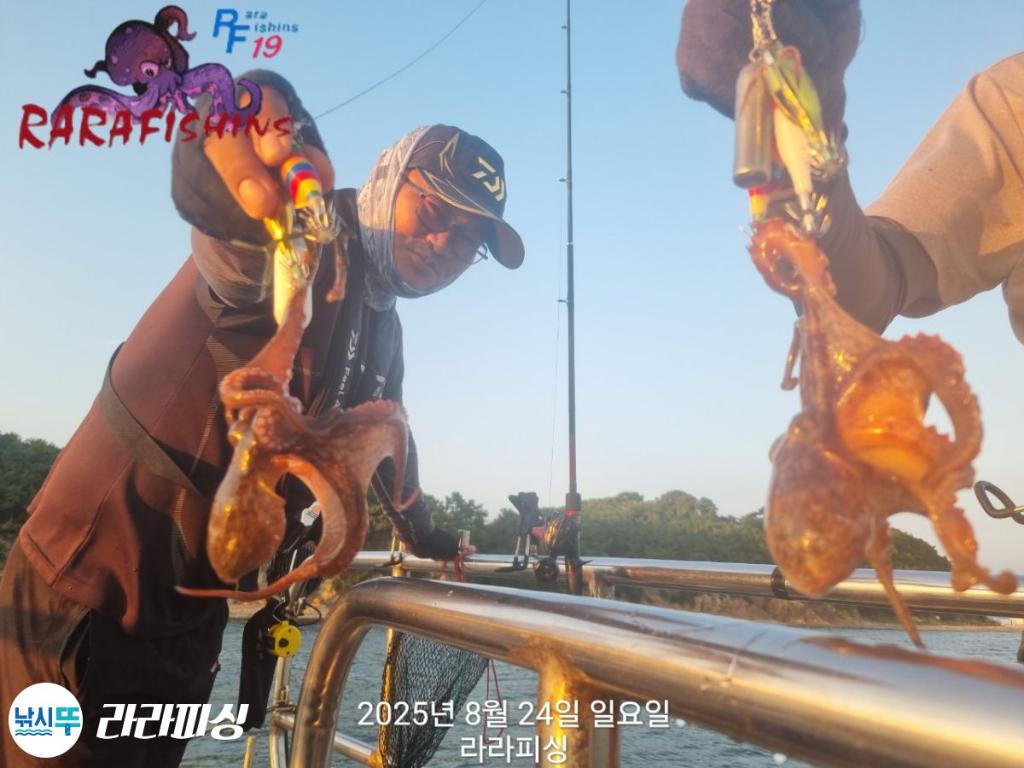 낚시뚜,돌문어,속천항(진해),라라피싱,낚시뚜11