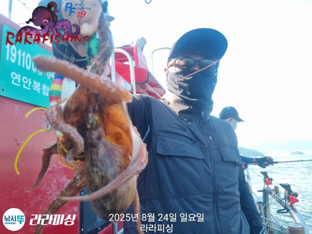 낚시뚜,돌문어,속천항(진해),라라피싱,낚시뚜6