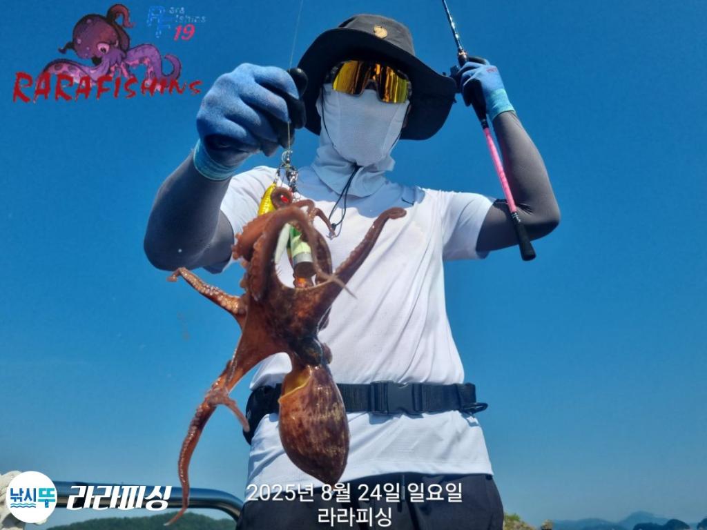 낚시뚜,돌문어,속천항(진해),라라피싱,낚시뚜4