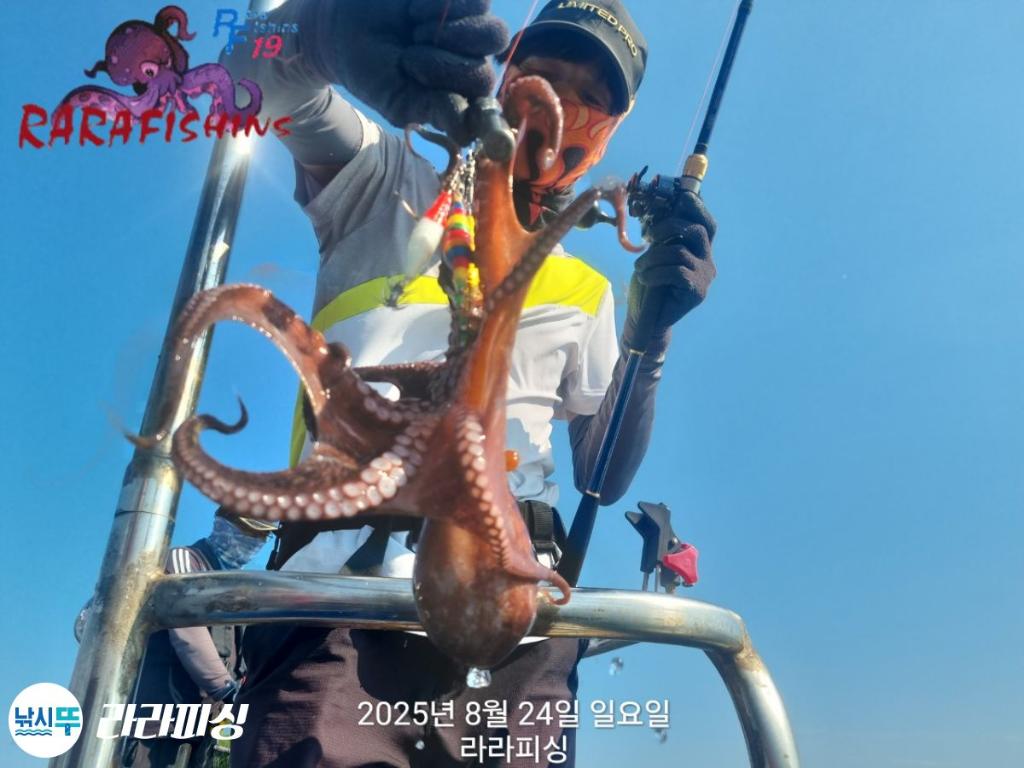 낚시뚜,돌문어,속천항(진해),라라피싱,낚시뚜3