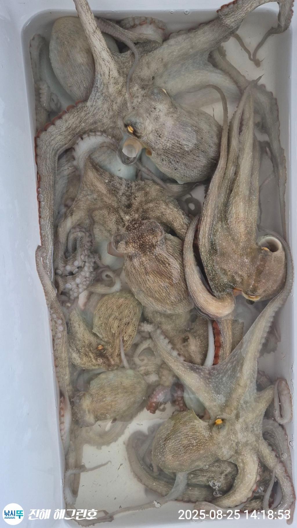 F2761004XL.jpg