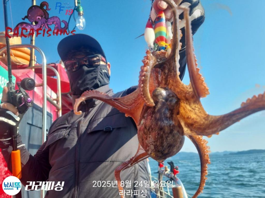 낚시뚜,돌문어,속천항(진해),라라피싱,낚시뚜8