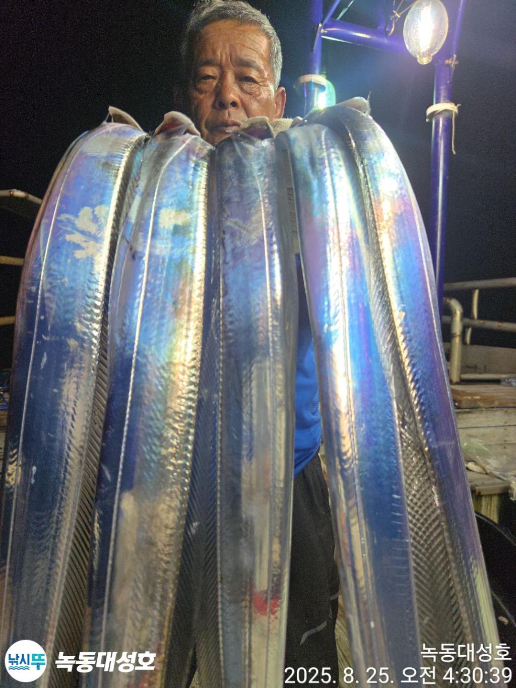 낚시뚜,갈치,녹동항,녹동대성호,낚시뚜17