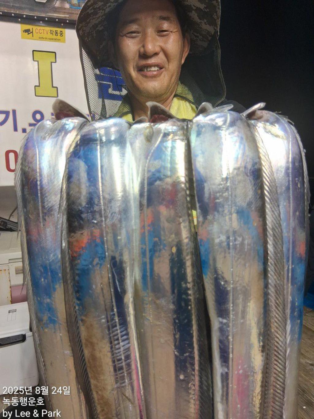 낚시뚜,갈치,녹동항,녹동대성호,낚시뚜10