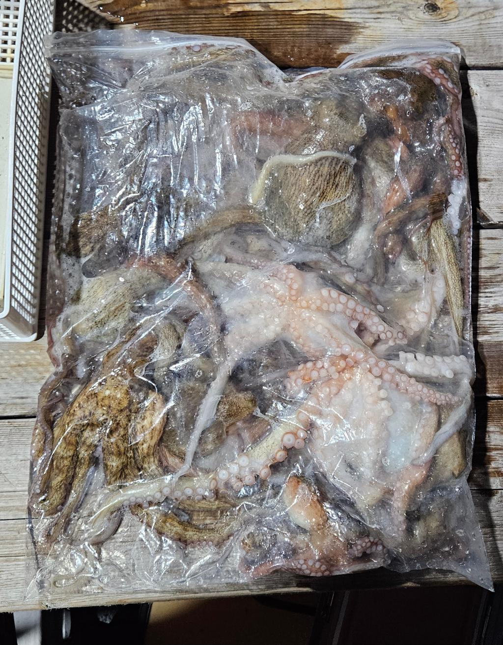 F276116087.jpg
