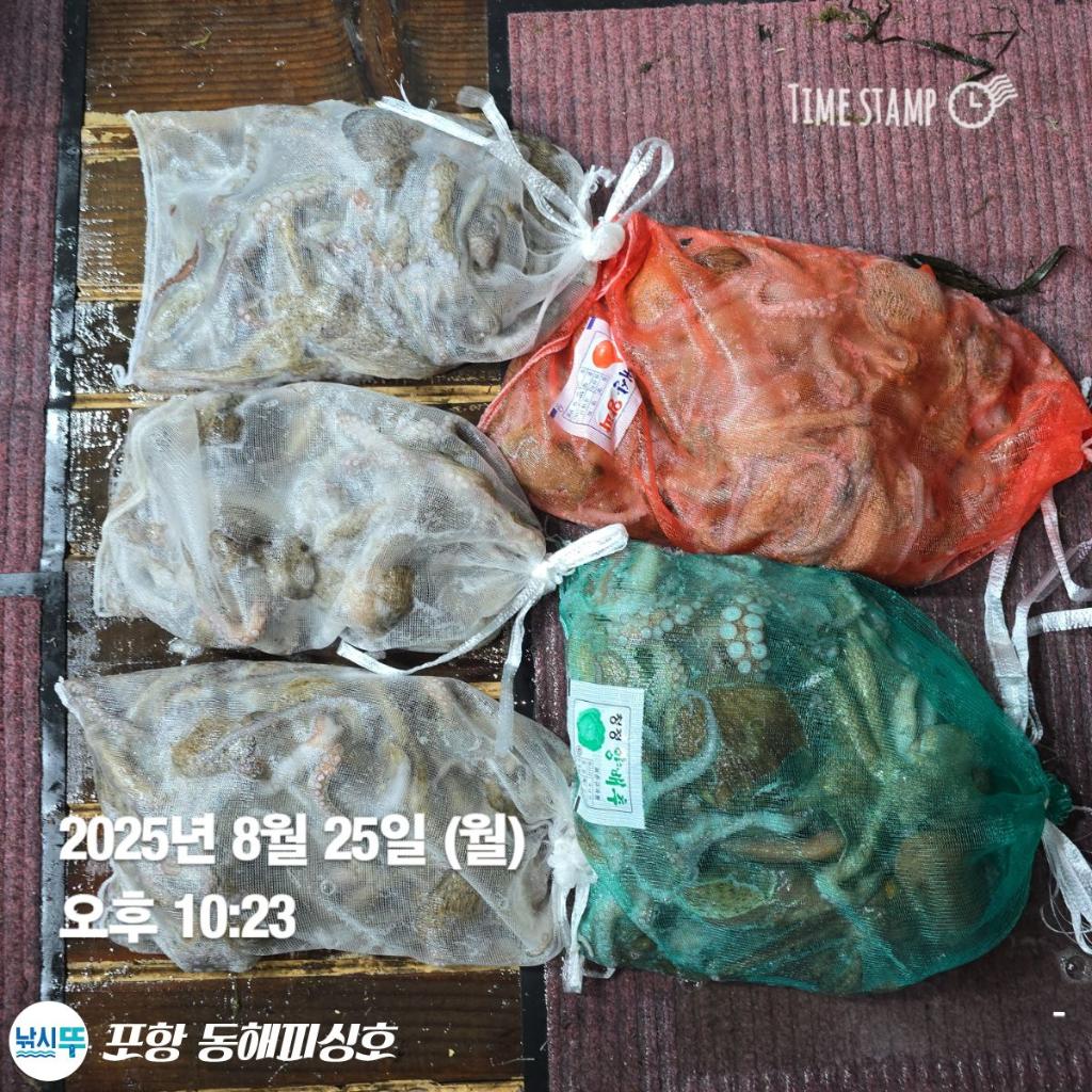 F2761197UR.jpg