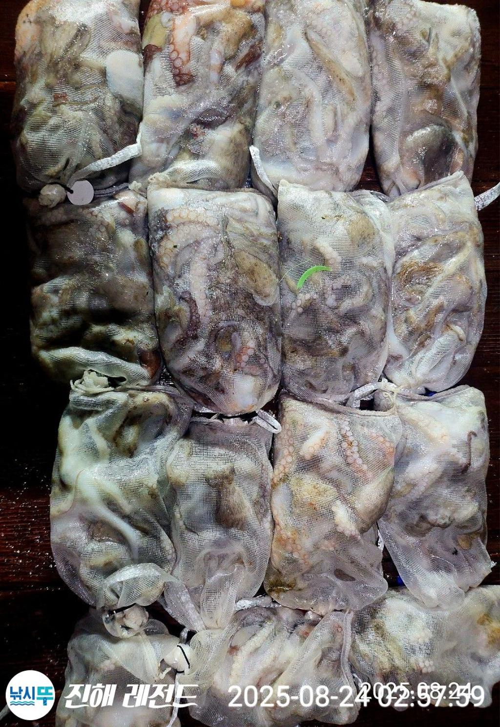 F2760782CP.jpg
