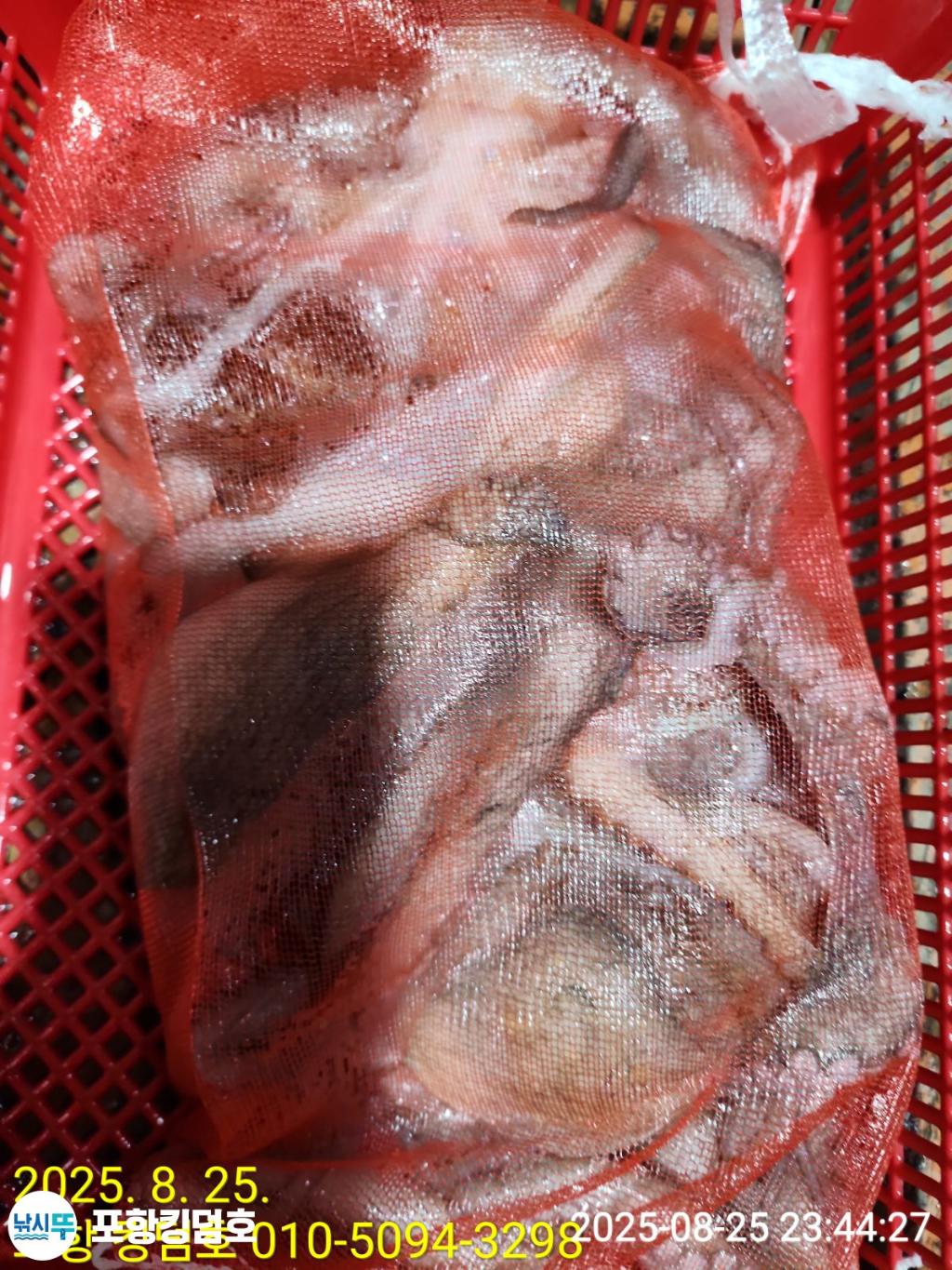 F2761222WB.jpg