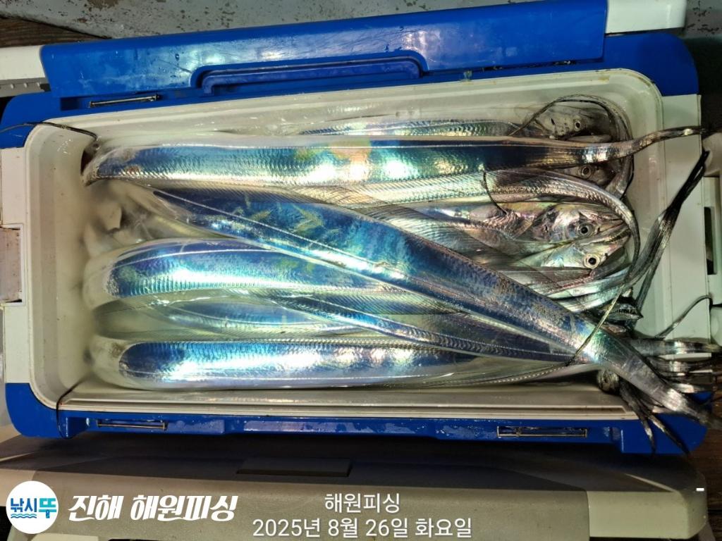 F2761274O5.jpg