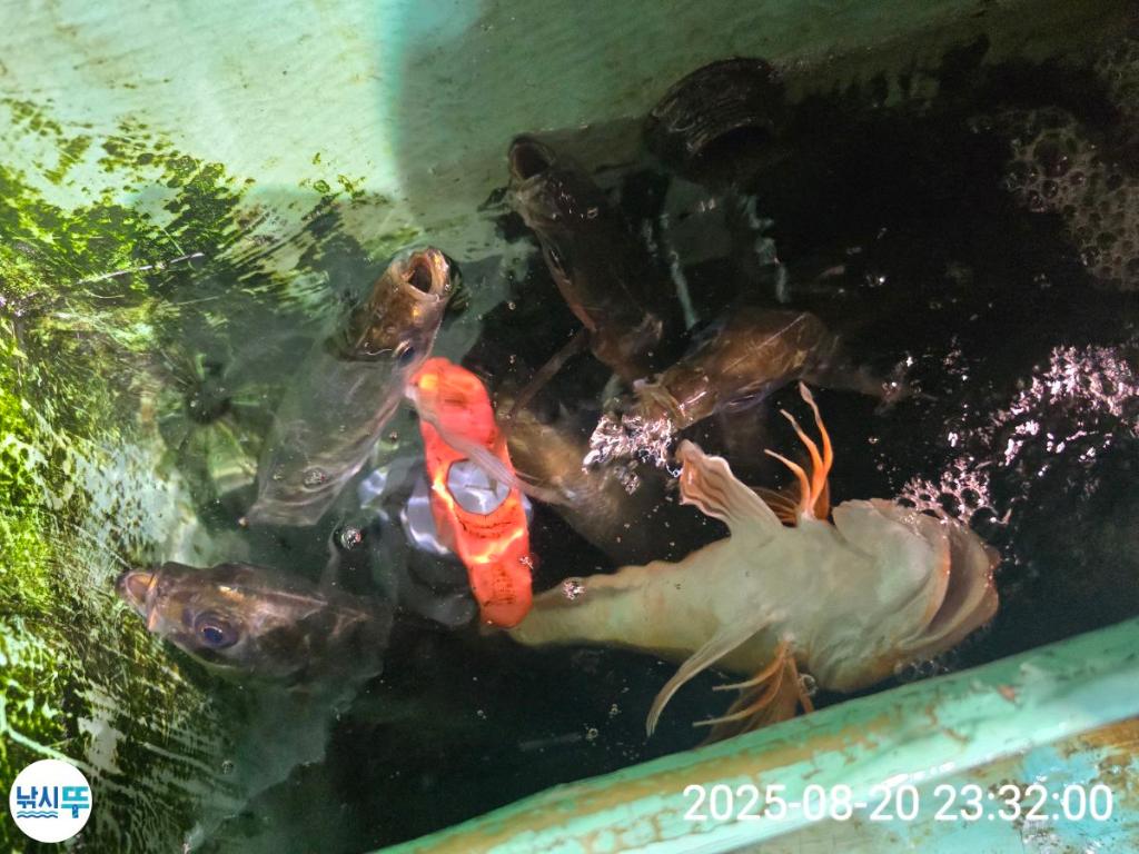 F2761510AX.jpg