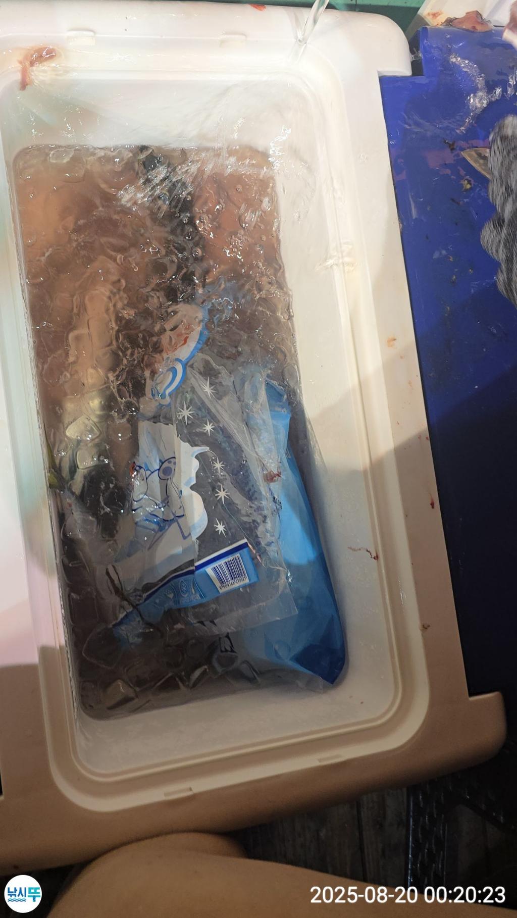 F2761521V6.jpg