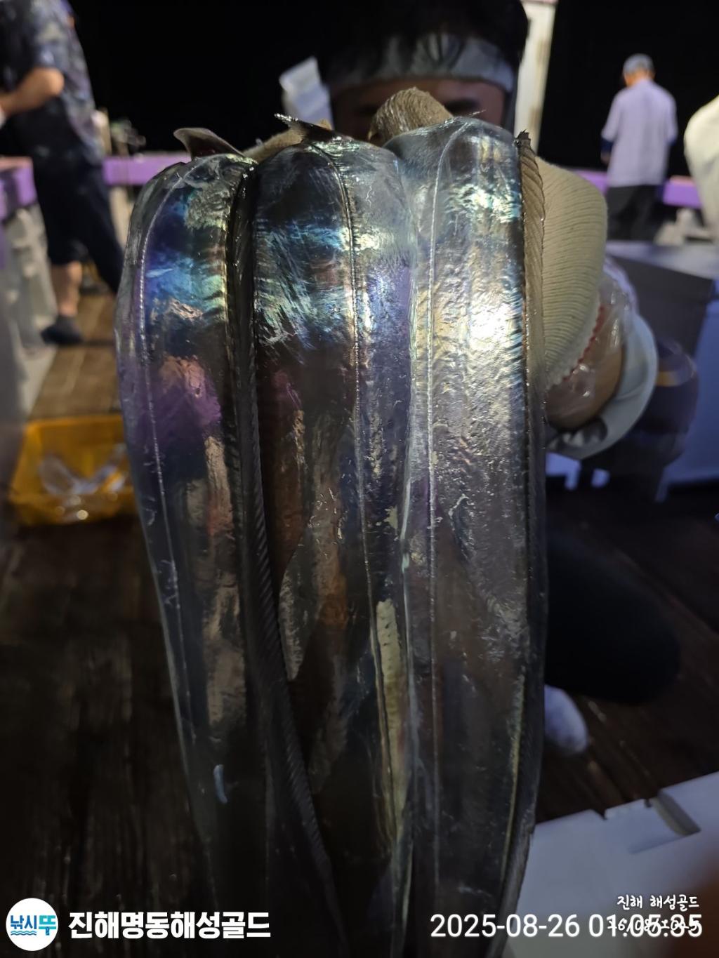 F2761663SN.jpg