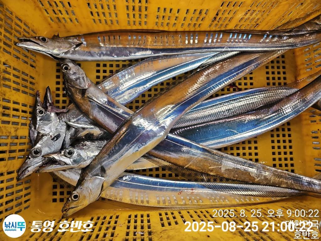F2761722U2.jpg
