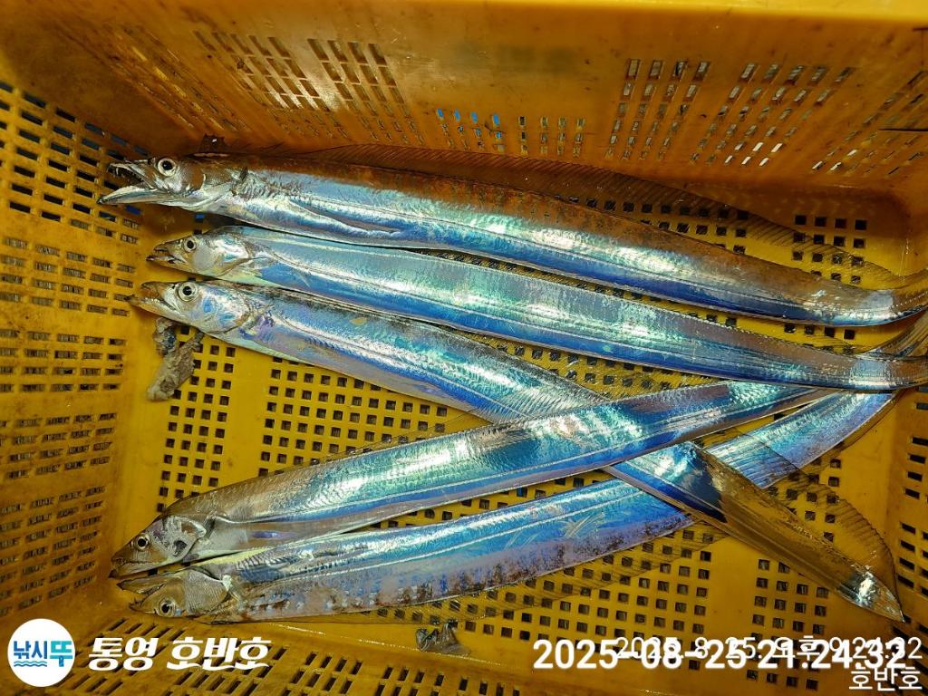 F27617234B.jpg