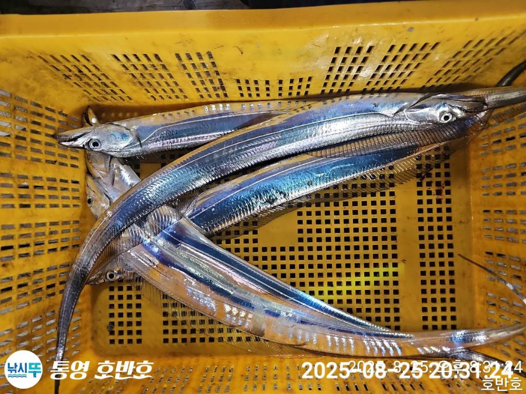 F2761724TS.jpg