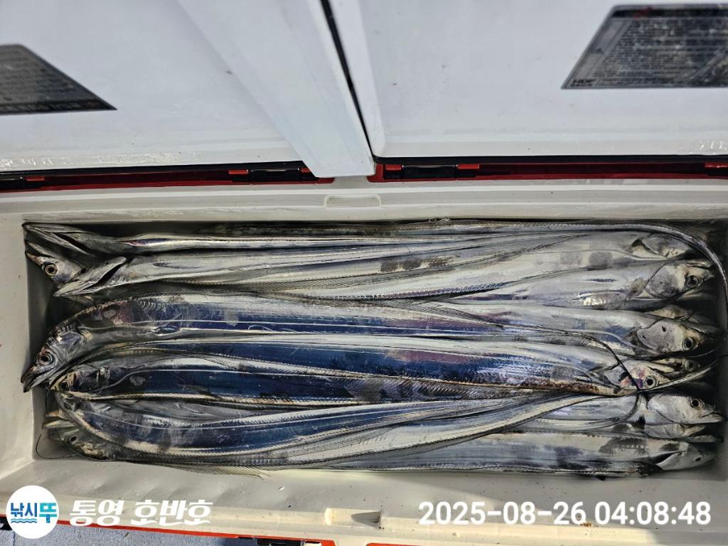 F27617310U.jpg
