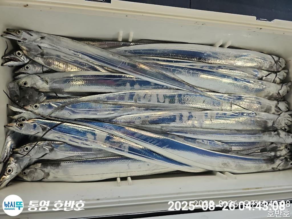 F27617385O.jpg