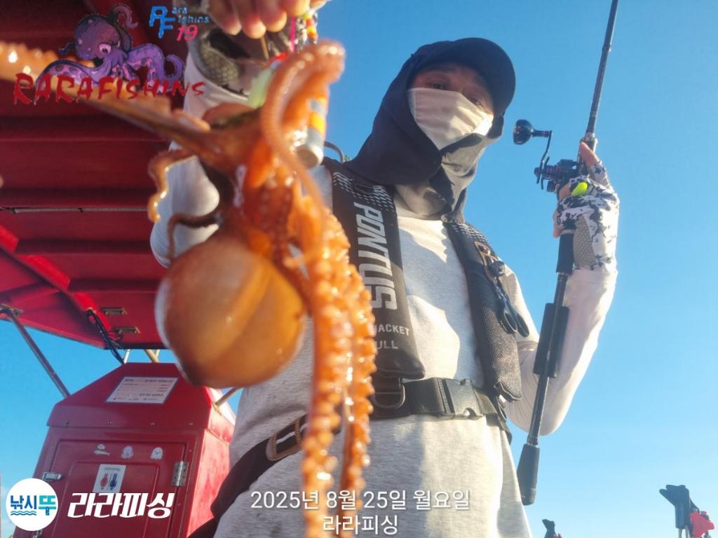 낚시뚜,돌문어,속천항(진해),라라피싱,낚시뚜8