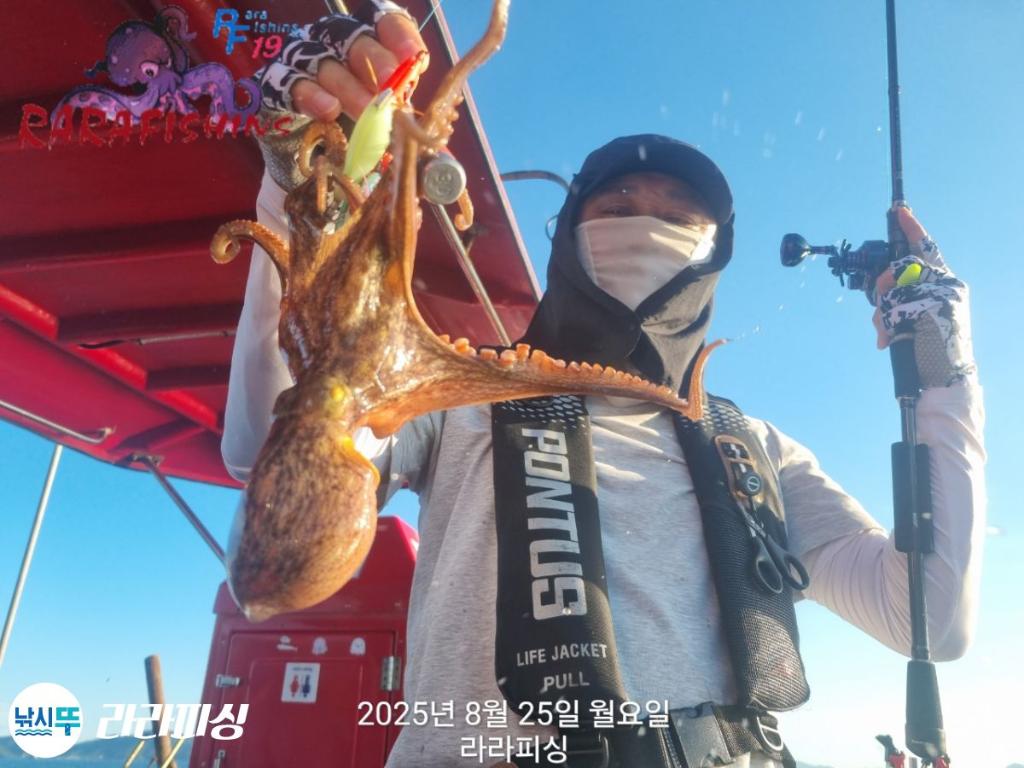 낚시뚜,돌문어,속천항(진해),라라피싱,낚시뚜5