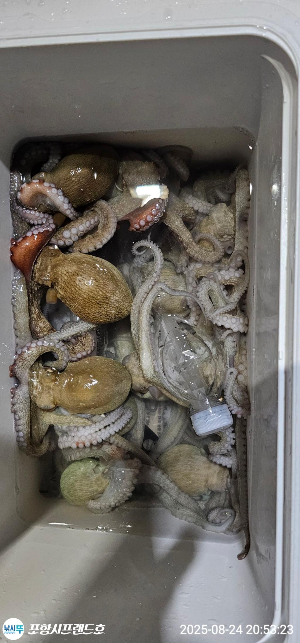 F2762084IA.jpg