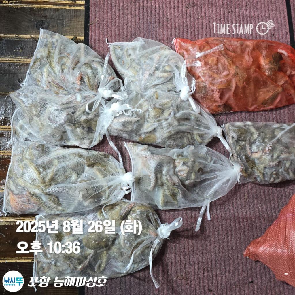 F2762090YL.jpg