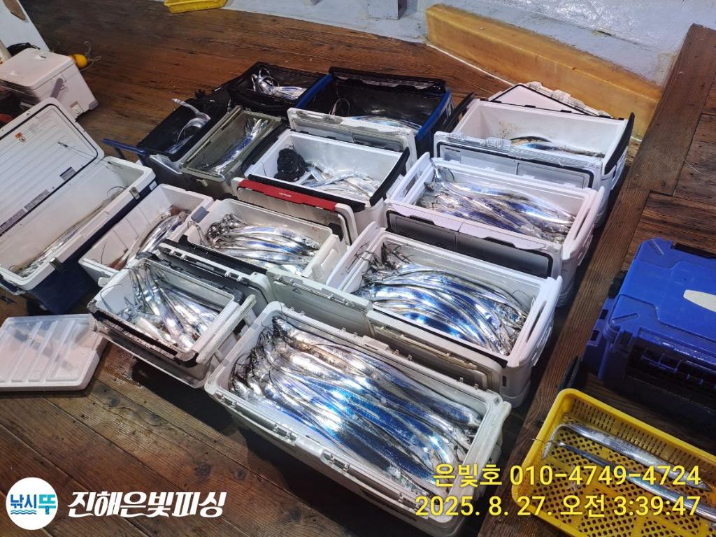 F2762155VY.jpg