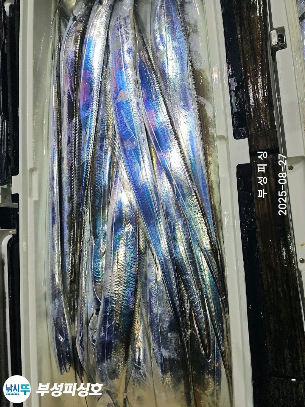 F2762185RS.jpg