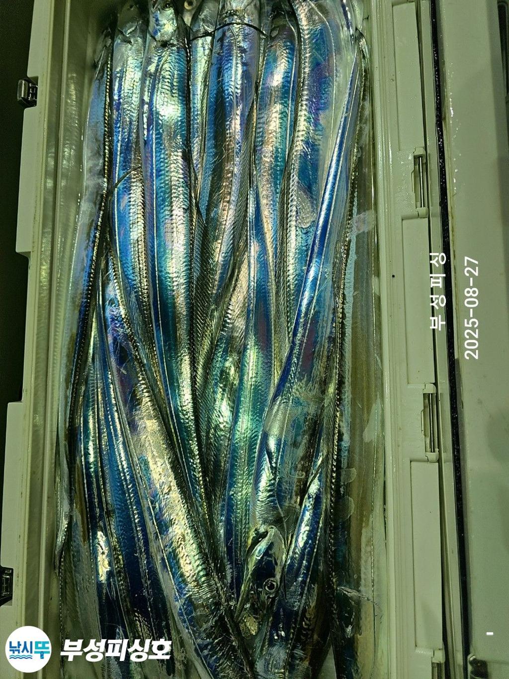 F2762186E9.jpg