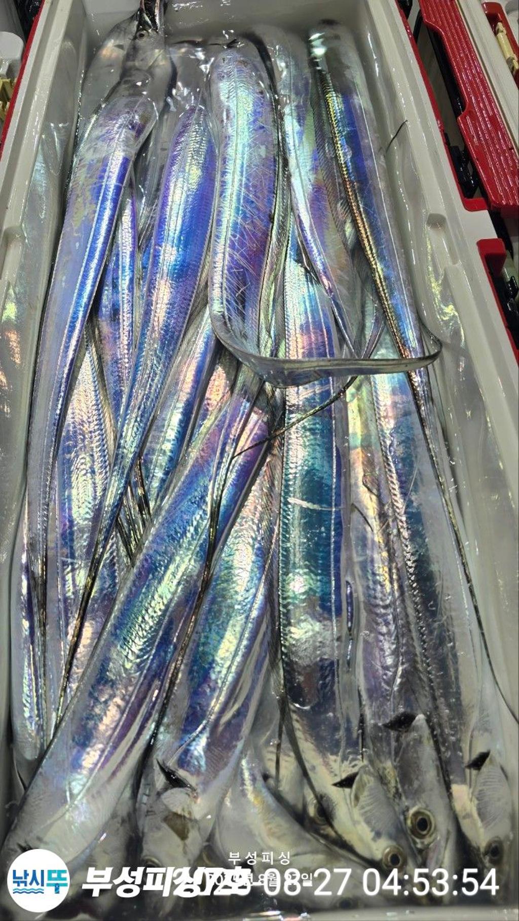 F2762221BC.jpg