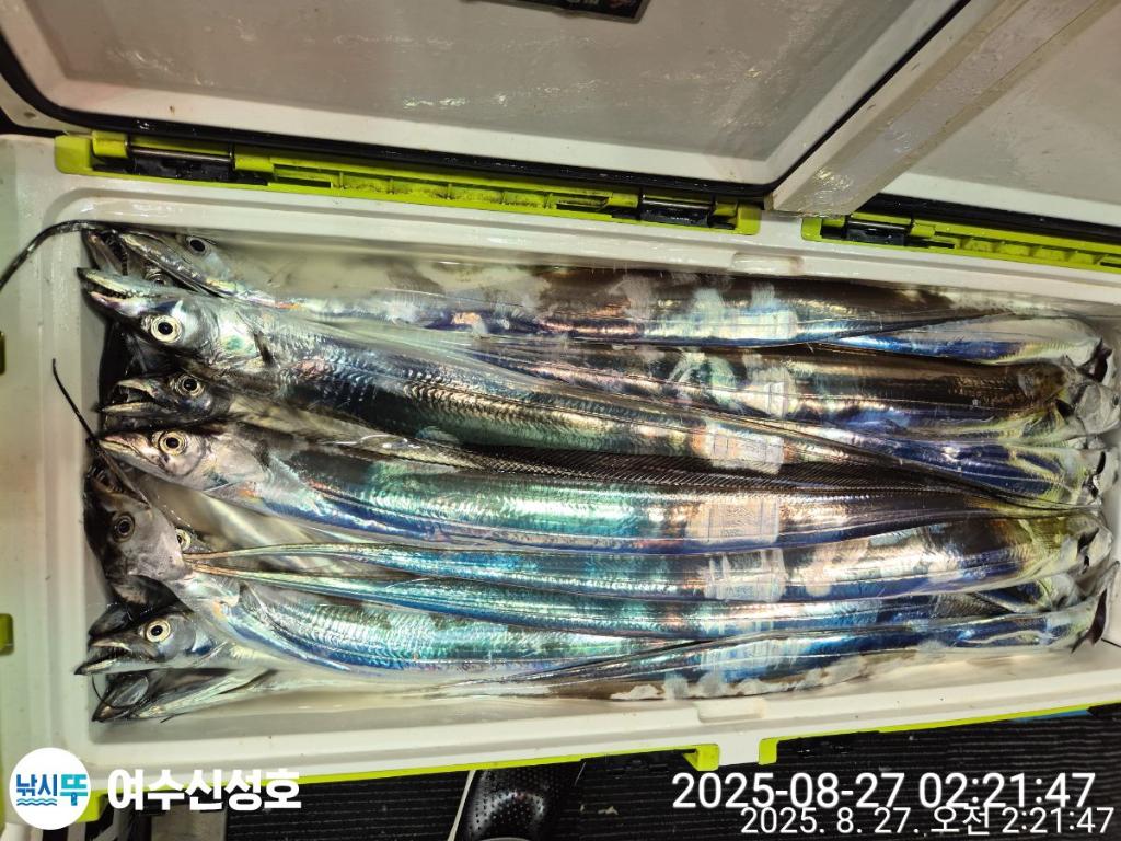 F27623421G.jpg