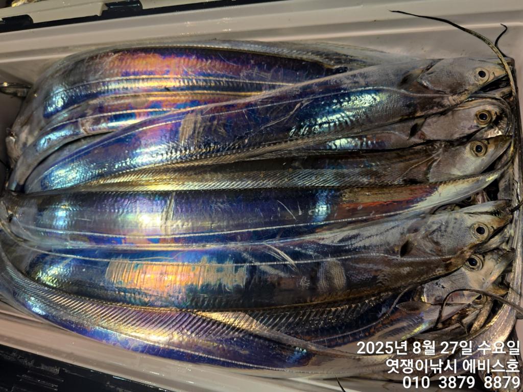 F2762391KN.jpg