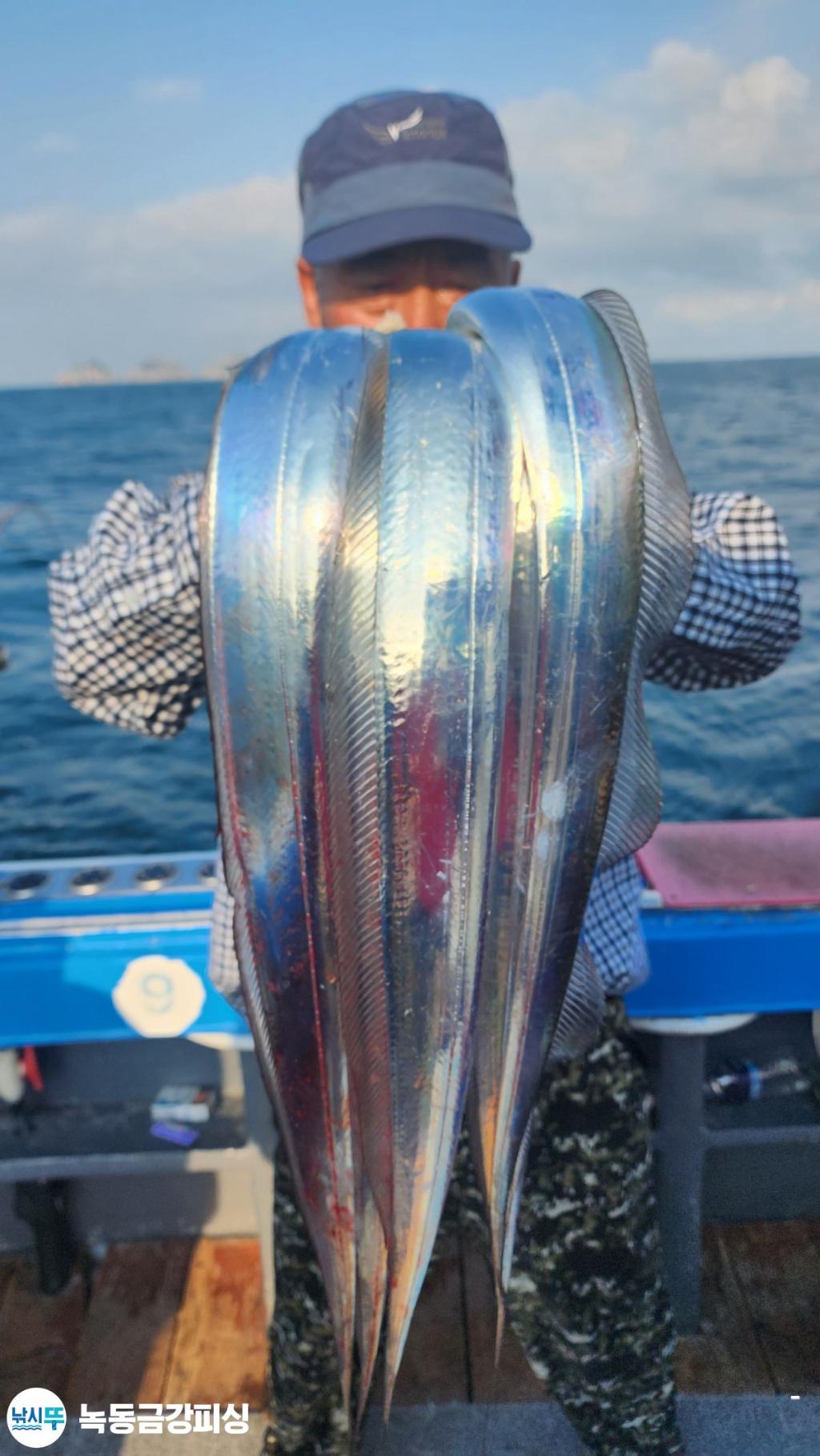 F27625034D.jpg