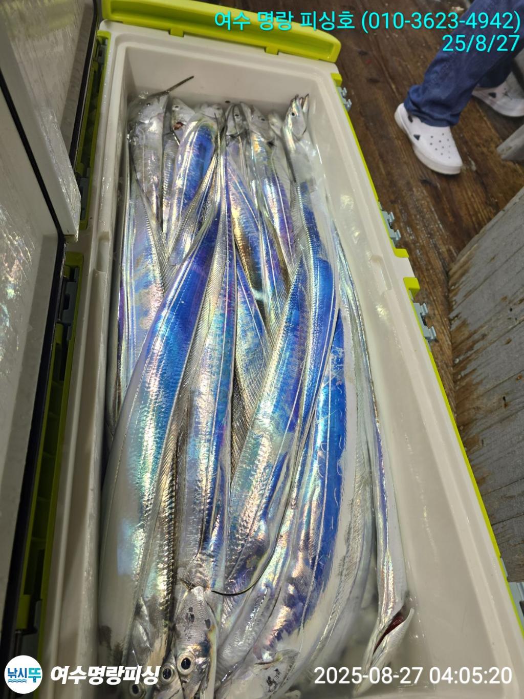 F27626470T.jpg