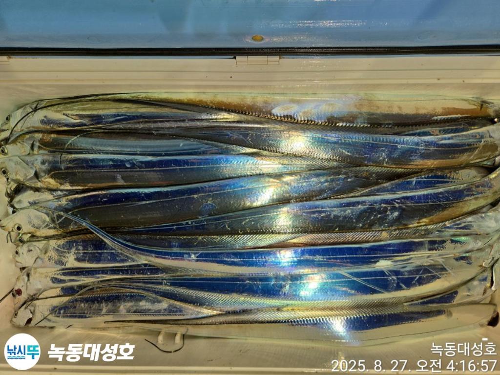 낚시뚜,갈치,녹동항,녹동대성호,낚시뚜64