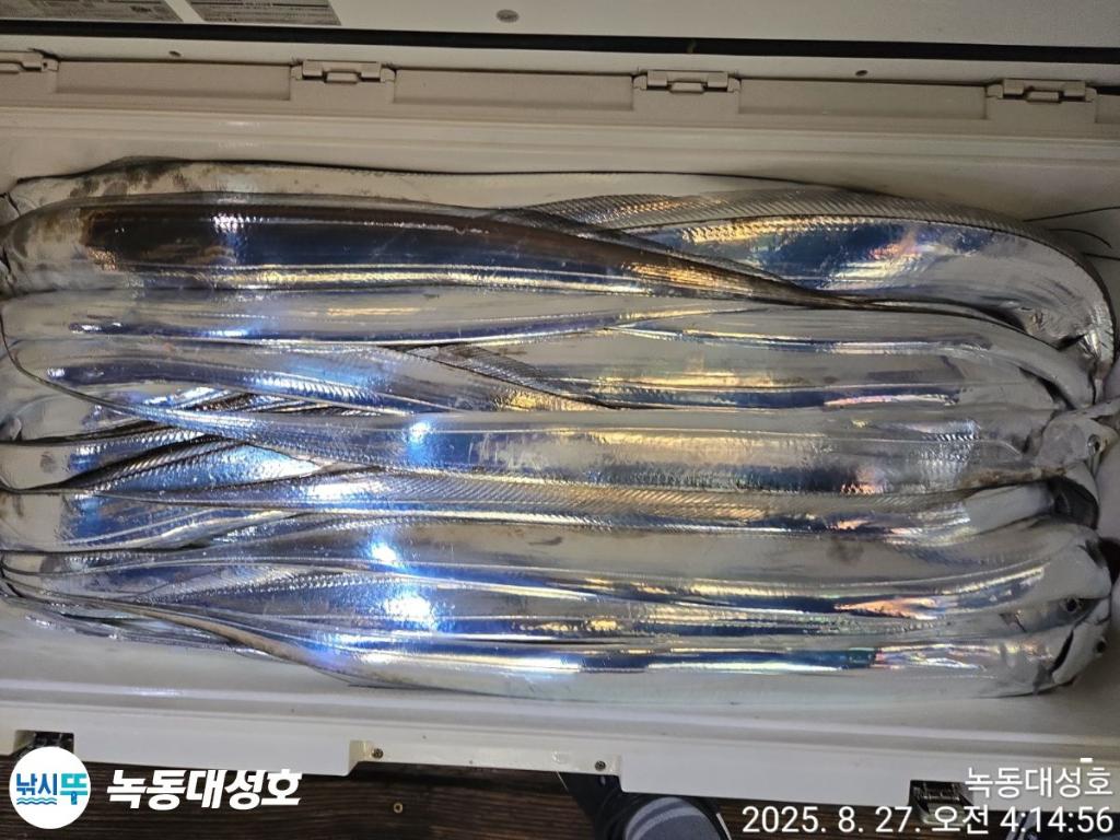 낚시뚜,갈치,녹동항,녹동대성호,낚시뚜63