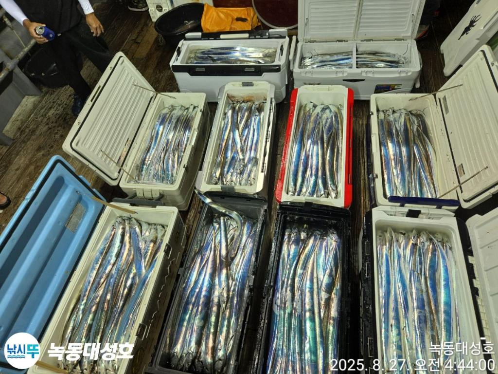 낚시뚜,갈치,녹동항,녹동대성호,낚시뚜6